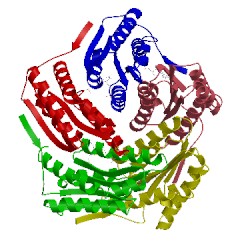 Image of CATH 1nqw