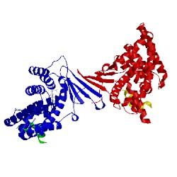 Image of CATH 1nrl