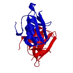 Image of CATH 1nrv
