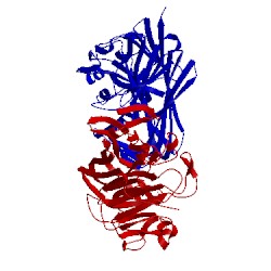 Image of CATH 1ns8