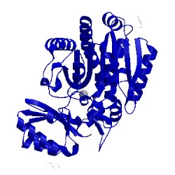 Image of CATH 1nsa
