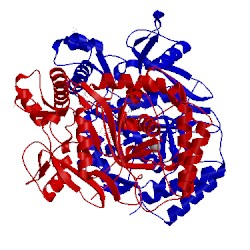 Image of CATH 1nse