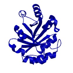 Image of CATH 1nsj