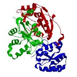 Image of CATH 1nsq