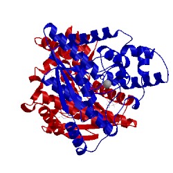 Image of CATH 1nsy