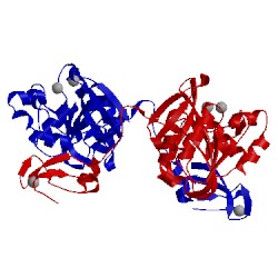 Image of CATH 1nui