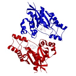 Image of CATH 1nuu
