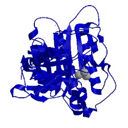 Image of CATH 1nv4