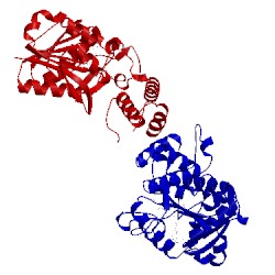 Image of CATH 1nv8