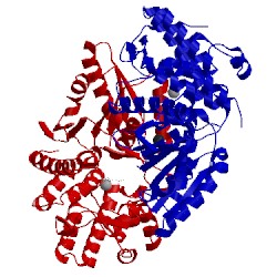 Image of CATH 1nvd