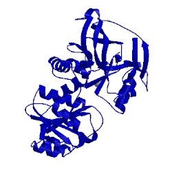 Image of CATH 1nvg