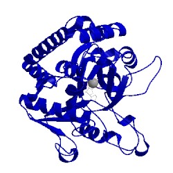 Image of CATH 1nvk