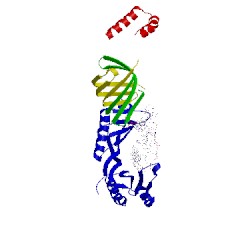 Image of CATH 1nvp