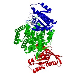 Image of CATH 1nvv