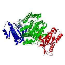 Image of CATH 1nvx