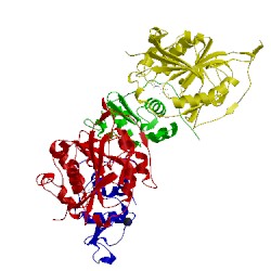 Image of CATH 1nwg