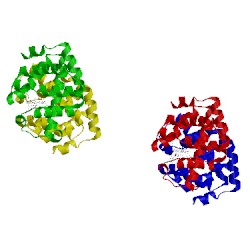 Image of CATH 1nwi