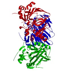 Image of CATH 1nx4