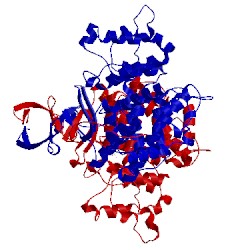 Image of CATH 1nxe
