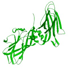 Image of CATH 1ny7