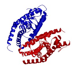 Image of CATH 1nyx