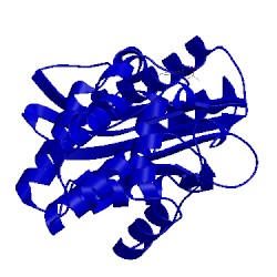 Image of CATH 1nyy