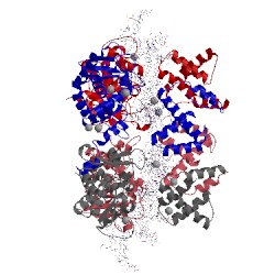 Image of CATH 1nzb