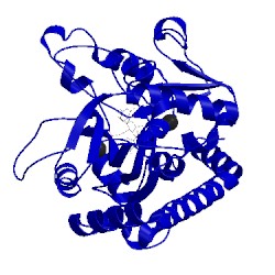 Image of CATH 1nzd