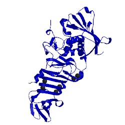 Image of CATH 1o0q