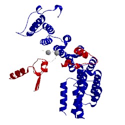 Image of CATH 1o1t