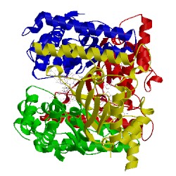 Image of CATH 1o29