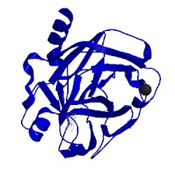 Image of CATH 1o3i