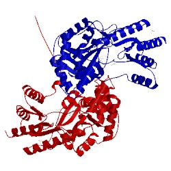 Image of CATH 1o4s