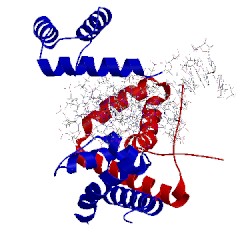 Image of CATH 1o4x