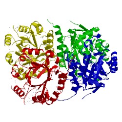 Image of CATH 1o60