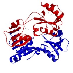 Image of CATH 1o63