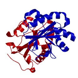 Image of CATH 1o6j