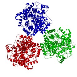 Image of CATH 1o6q