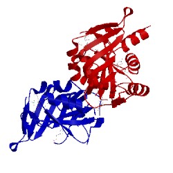 Image of CATH 1o8b