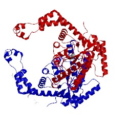 Image of CATH 1oad