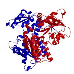 Image of CATH 1oas