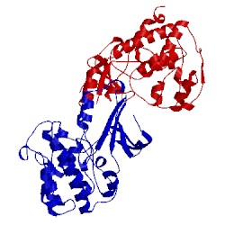 Image of CATH 1ob3