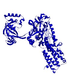 Image of CATH 1obc