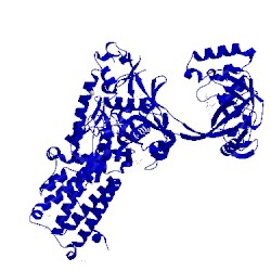 Image of CATH 1obh