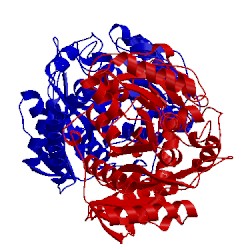 Image of CATH 1obk