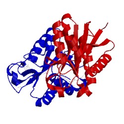 Image of CATH 1obo