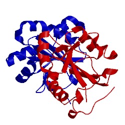 Image of CATH 1oc9