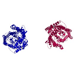 Image of CATH 1occ