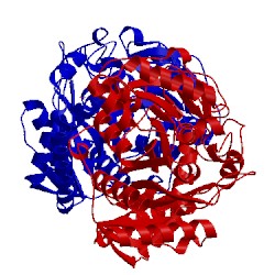 Image of CATH 1ocm