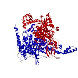 Image of CATH 1od2